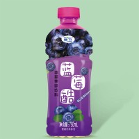 750ml藍莓