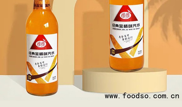 維維金橘汽水_02 維維金橘汽水_02