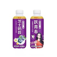 華沃藍莓果粒芝士奶昔乳酸菌飲品520ml