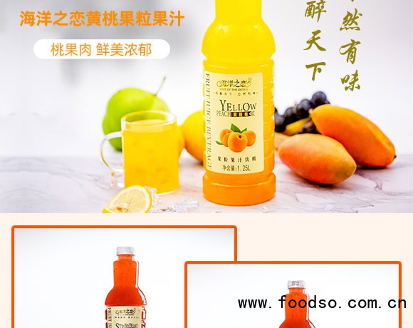 海洋之戀果粒果汁飲料 海洋之戀果粒果汁飲料