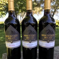 原瓶直采的時(shí)光佳釀：山之峰仙粉黛，黑櫻桃與胡椒的纏綿余韻